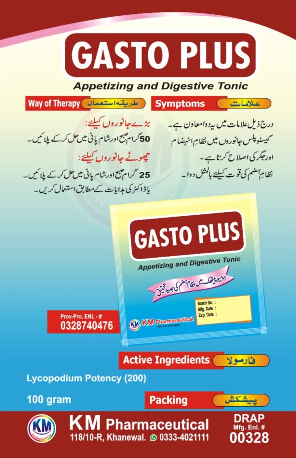 Gasto Plus - Image 2